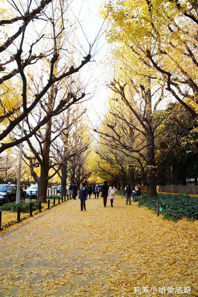 [東京景點] 2023 日本東京明治神宮外苑的銀杏大道，秋季絕美的金黃落葉步道跟天然地毯 @莉芙小姐愛旅遊
