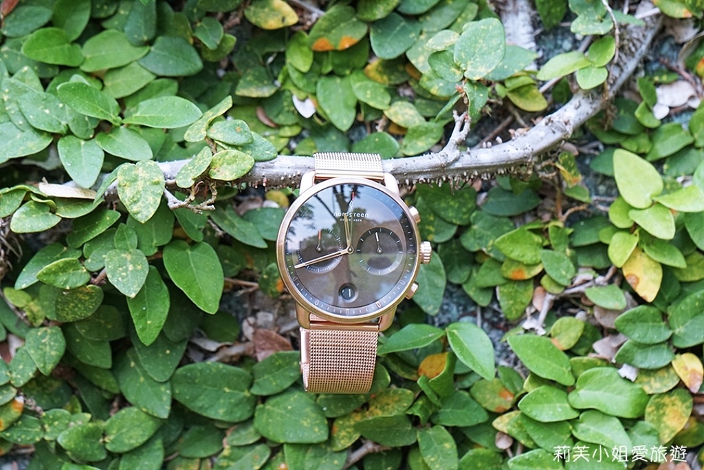[手錶] 丹麥極簡設計Nordgreen手錶，AW21新品折扣優惠碼「liv85」，粉絲專屬福利 @莉芙小姐愛旅遊
