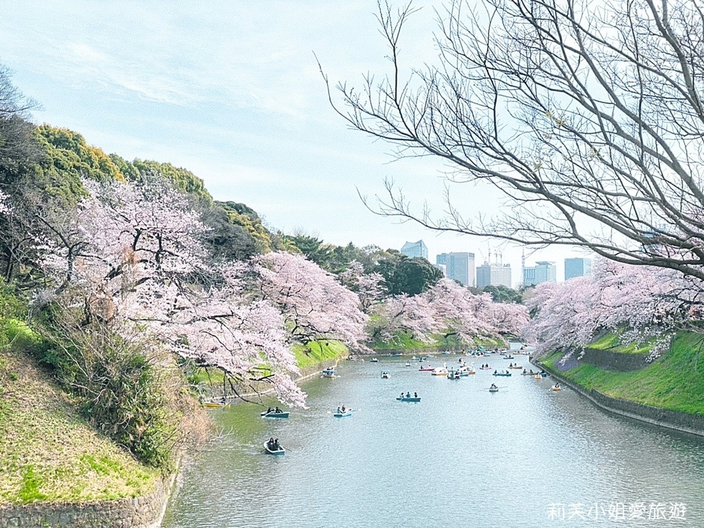[日本旅遊] 2024 東京千鳥淵櫻花季，最佳拍攝地點、划船費用、夜間櫻花點燈、交通攻略 @莉芙小姐愛旅遊