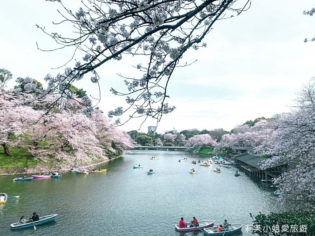 [日本旅遊] 2024 東京千鳥淵櫻花季，最佳拍攝地點、划船費用、夜間櫻花點燈、交通攻略 @莉芙小姐愛旅遊