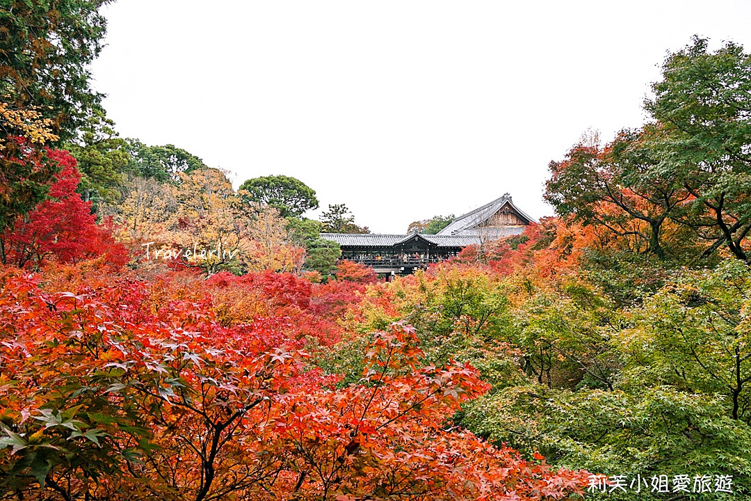 [日本旅遊] 2023 日本紅葉前線預測、熱門賞楓景點與楓葉旅遊心得、銀杏旅遊情報 @莉芙小姐愛旅遊