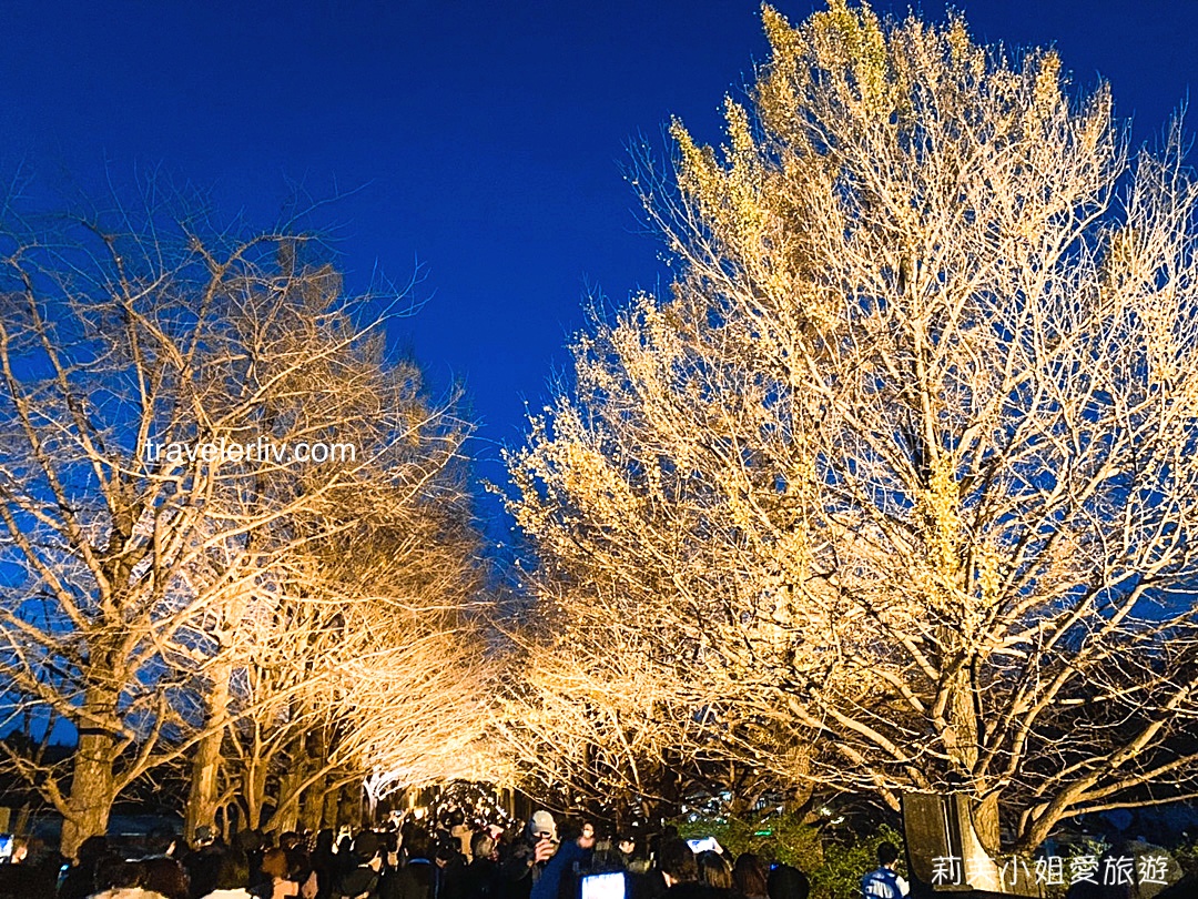 [東京景點] 2023 昭和紀念公園銀杏跟楓葉，門票票價、交通資訊與銀杏季、楓葉季跟聖誕節夜間點燈 @莉芙小姐愛旅遊