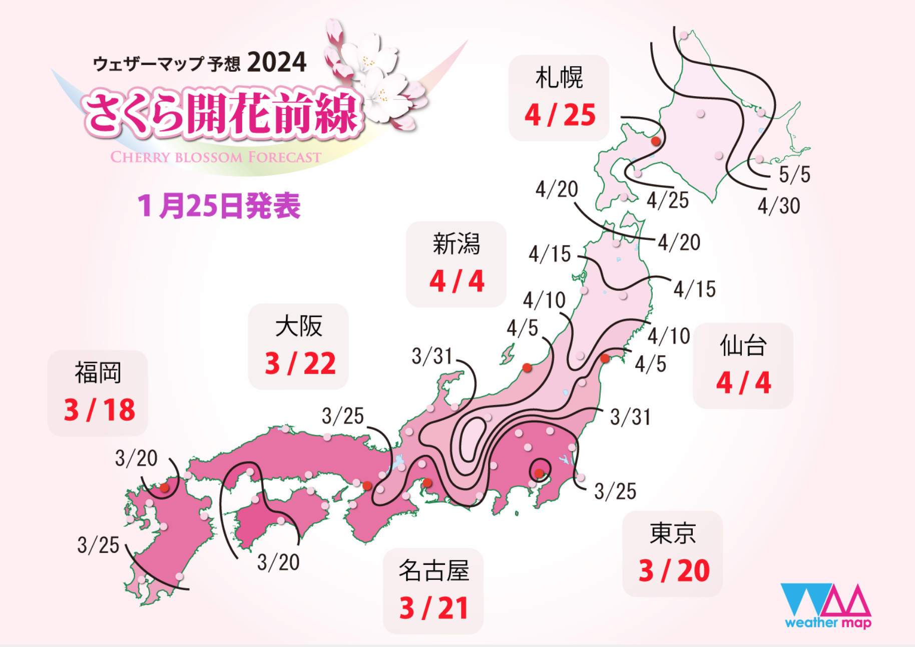 [日本旅遊] 2024 日本櫻花最前線預測、櫻花情報、全國賞櫻景點整理、開花預測跟賞櫻心得 @莉芙小姐愛旅遊