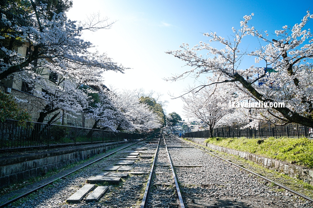 [遊記] 京都 蹴上傾斜鐵道與週邊櫻花紀錄