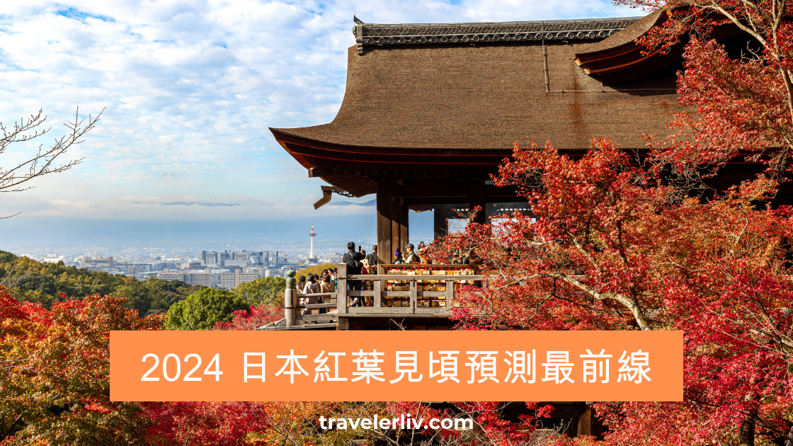 [日本旅遊] 2024 日本紅葉前線預測、熱門銀杏、楓葉景點跟旅遊心得 @莉芙小姐愛旅遊