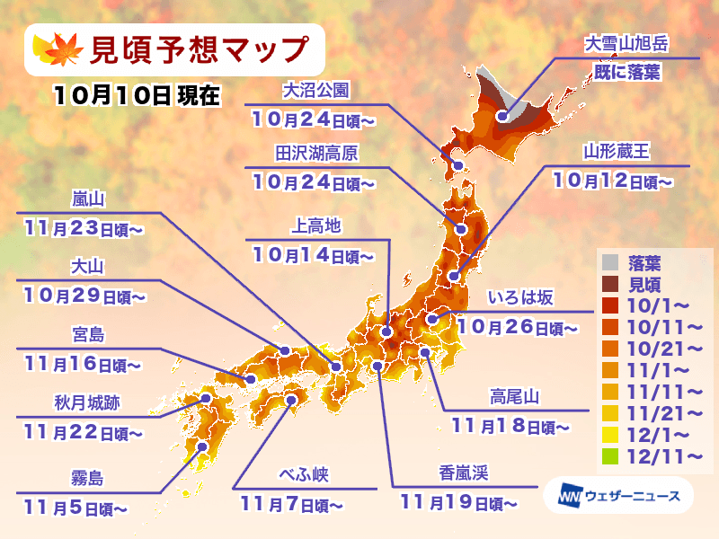 [日本旅遊] 2024 日本紅葉前線預測、熱門銀杏、楓葉景點跟旅遊心得 @莉芙小姐愛旅遊