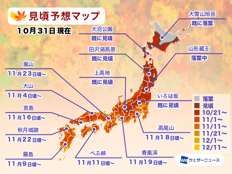 [日本旅遊] 2024 日本紅葉前線預測、熱門銀杏、楓葉景點跟旅遊心得 @莉芙小姐愛旅遊