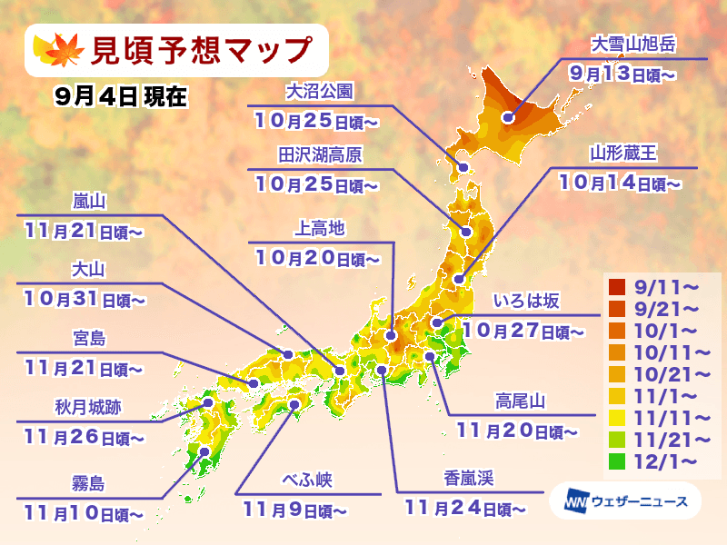 [日本旅遊] 2025 日本紅葉前線預測、熱門銀杏、楓葉景點跟旅遊心得 @莉芙小姐愛旅遊