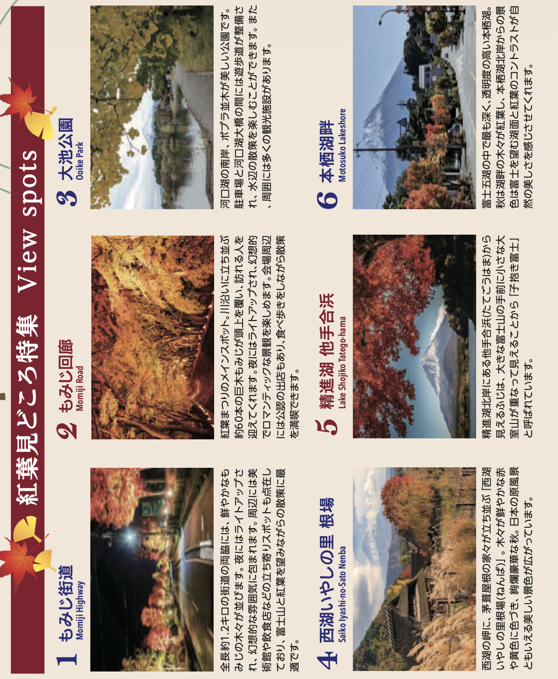 [2025 河口湖紅葉祭] 富士山河口湖楓葉迴廊之交通、夜間點燈與賞楓攻略 @莉芙小姐愛旅遊