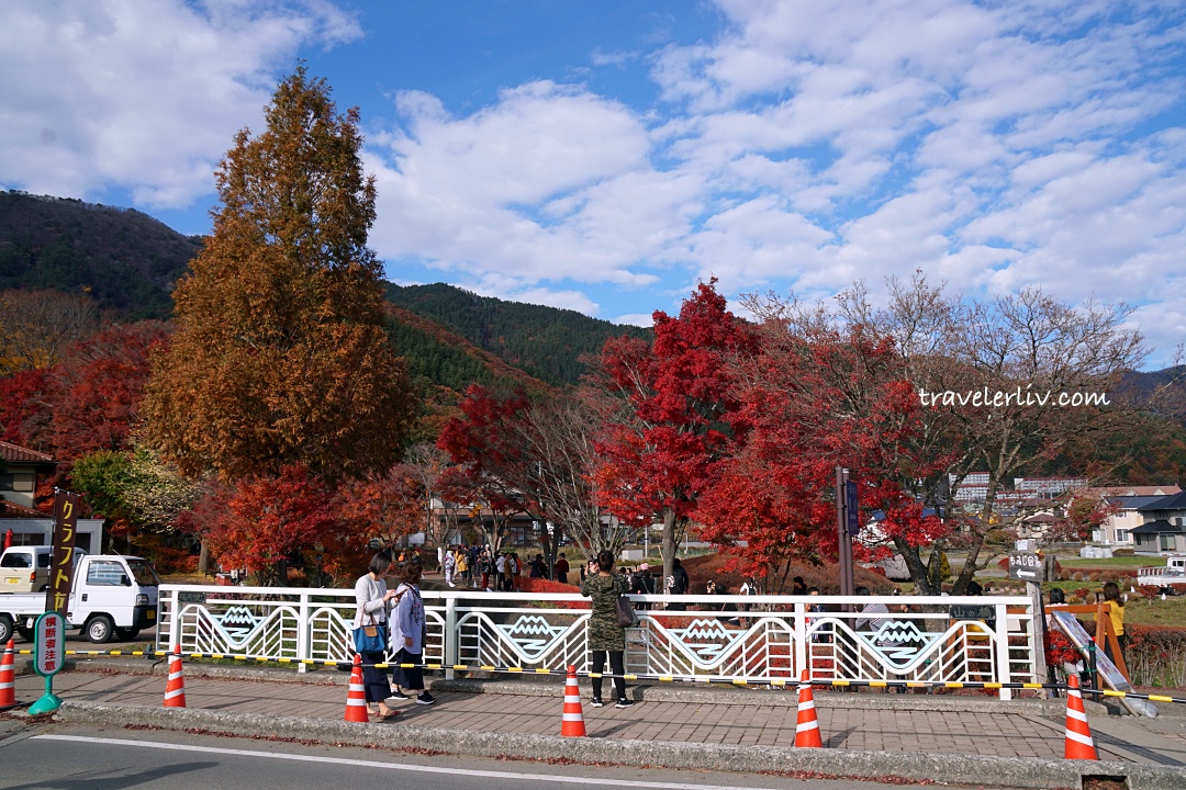 [2025 河口湖紅葉祭] 富士山河口湖楓葉迴廊之交通、夜間點燈與賞楓攻略 @莉芙小姐愛旅遊