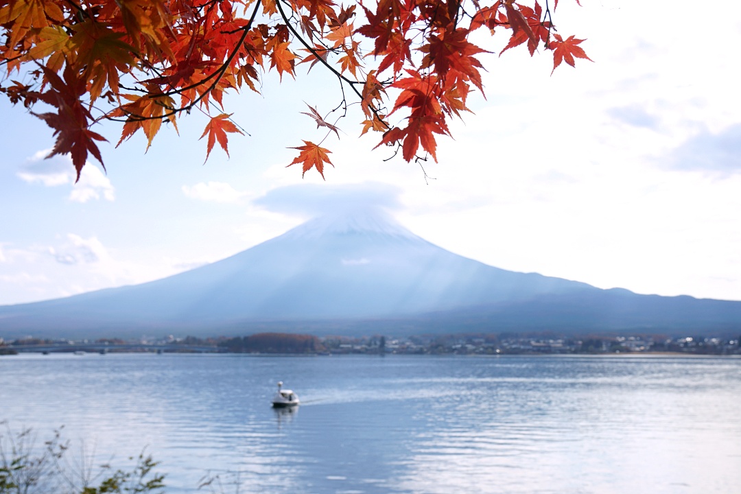 [2025 河口湖紅葉祭] 富士山河口湖楓葉迴廊之交通、夜間點燈與賞楓攻略 @莉芙小姐愛旅遊