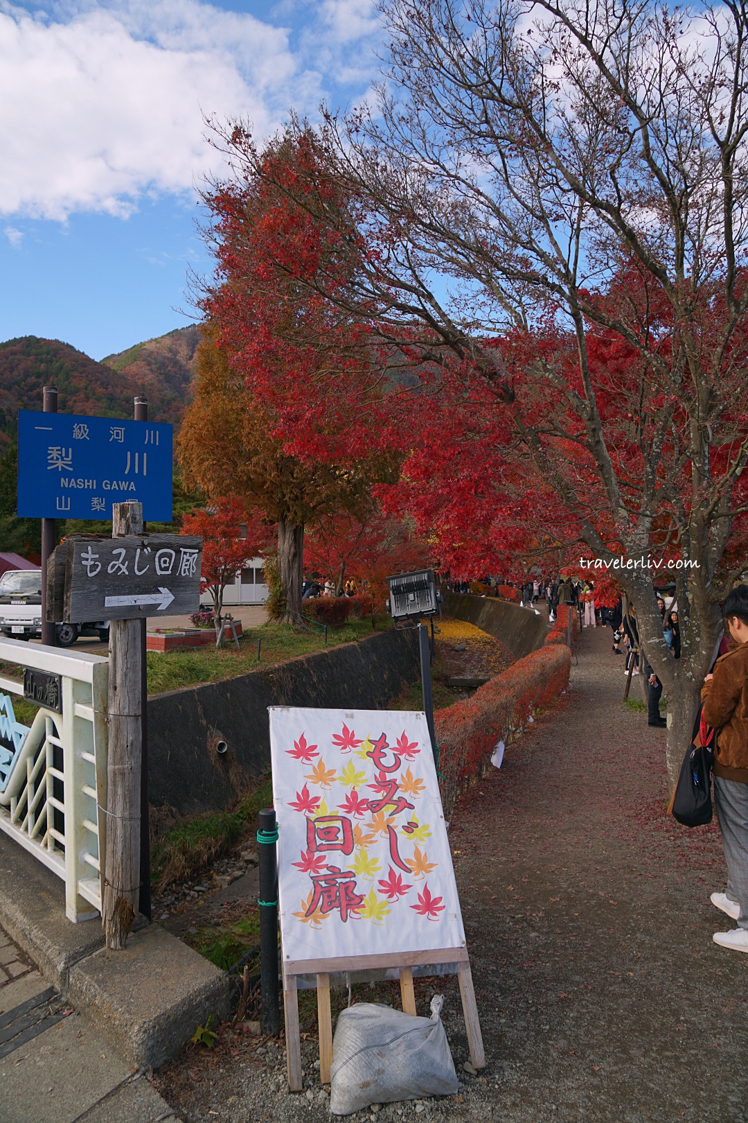 [2025 河口湖紅葉祭] 富士山河口湖楓葉迴廊之交通、夜間點燈與賞楓攻略 @莉芙小姐愛旅遊