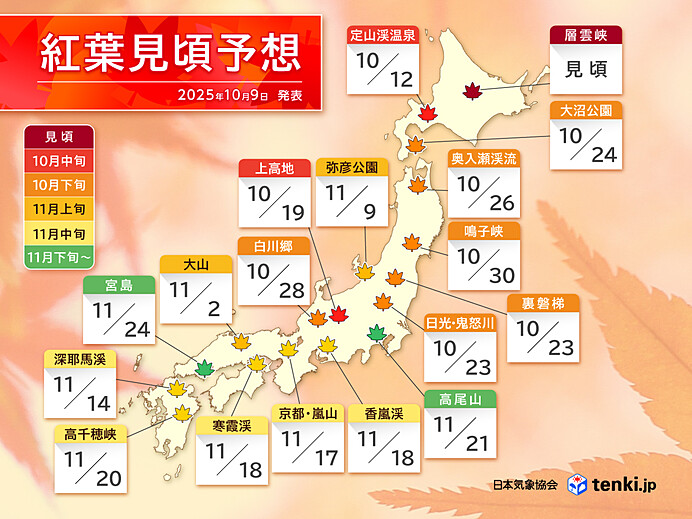 [日本旅遊] 2025 日本紅葉前線預測、熱門銀杏、楓葉景點跟旅遊心得 @莉芙小姐愛旅遊