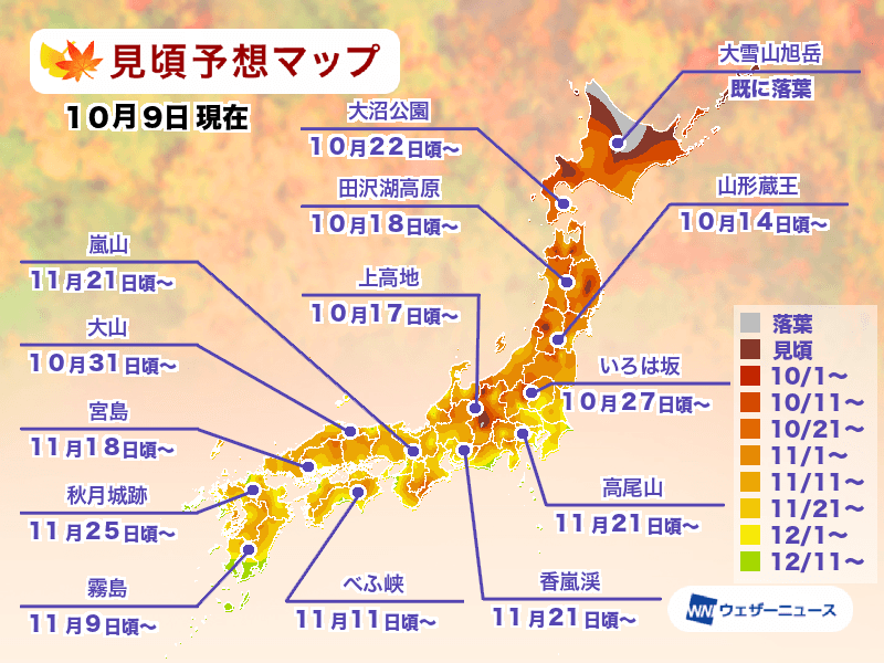 [日本旅遊] 2025 日本紅葉前線預測、熱門銀杏、楓葉景點跟旅遊心得 @莉芙小姐愛旅遊