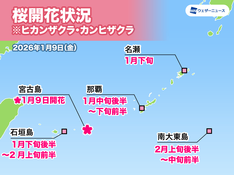 [日本旅遊] 2026 日本櫻花最前線預測、全國櫻花情報、開花預測、賞櫻景點跟心得 @莉芙小姐愛旅遊