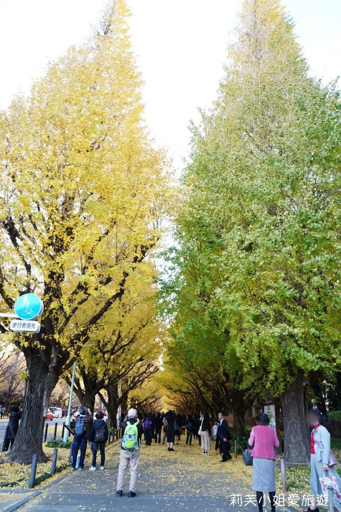 [東京景點] 2023 日本東京明治神宮外苑的銀杏大道，秋季絕美的金黃落葉步道跟天然地毯 @莉芙小姐愛旅遊