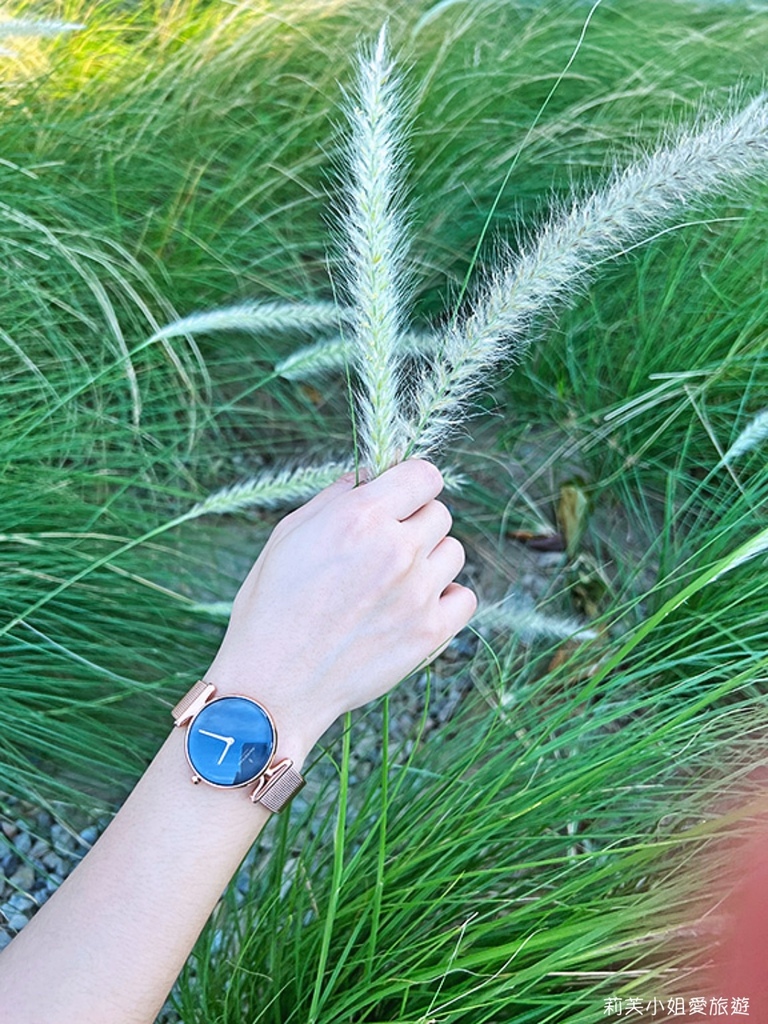[手錶] 丹麥極簡手錶 Nordgreen，雙十一跟黑五限時7折，輸入優惠碼「liv65」最低63折 @莉芙小姐愛旅遊
