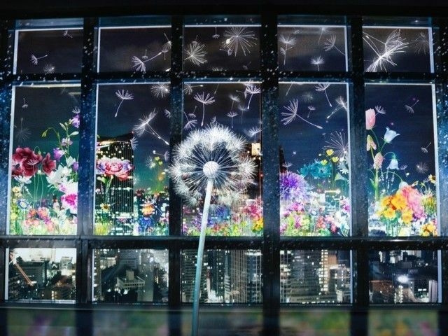 [旅遊] 日本 東京2022 ～ 2023年聖誕節21個點燈活動及3個聖誕市集懶人包整理 @莉芙小姐愛旅遊