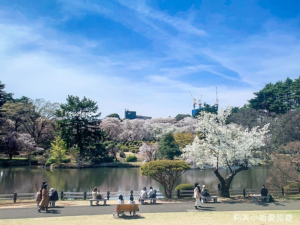 [日本旅遊] 2023 新宿御苑櫻花季，1100棵櫻花花期、門票跟交通，東京前五名的賞櫻景點 @莉芙小姐愛旅遊