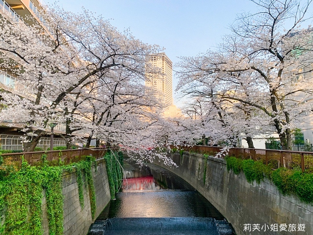 [日本旅遊] 2023 日本櫻花前線預測、櫻花情報、全國賞櫻景點整理、開花預測跟賞櫻心得 @莉芙小姐愛旅遊