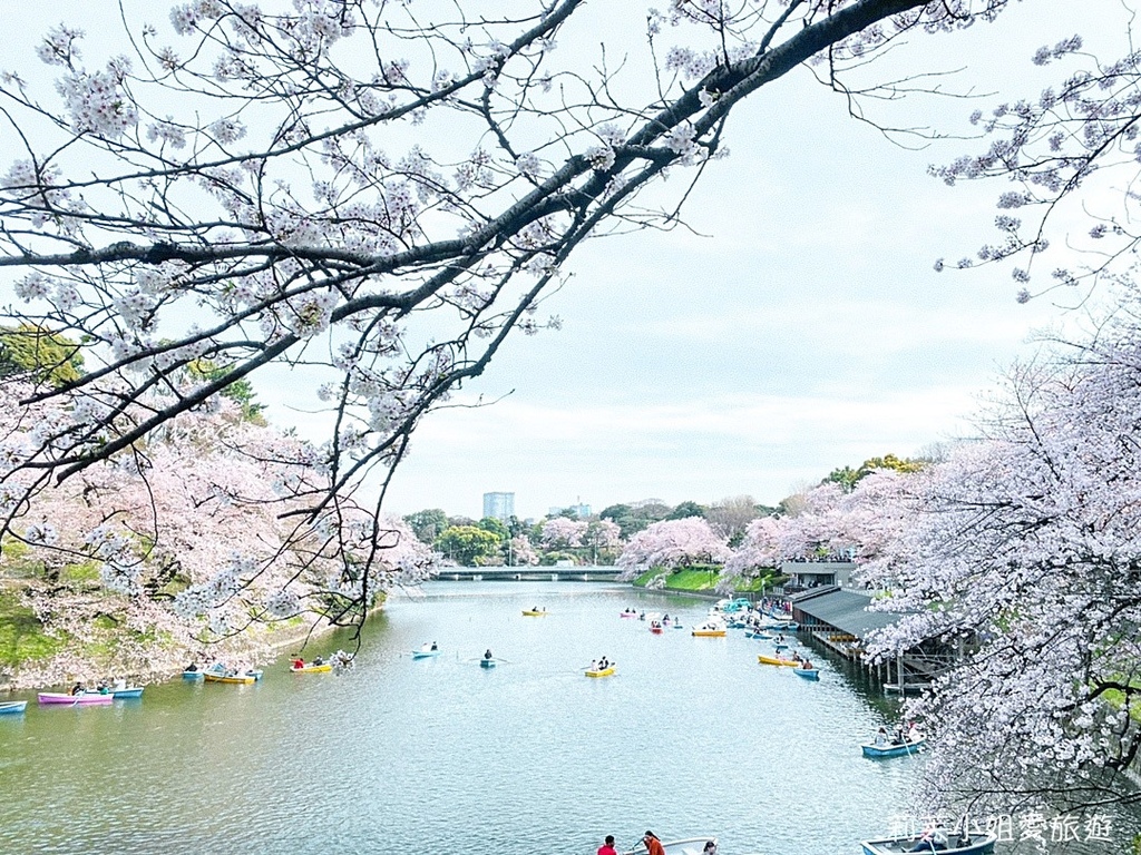 [日本旅遊] 2023 東京千鳥淵櫻花季，最佳拍攝地點、划船費用、夜間櫻花點燈、交通攻略 @莉芙小姐愛旅遊