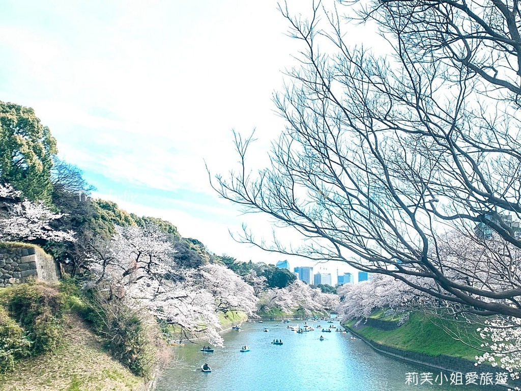 [日本旅遊] 2023 東京千鳥淵櫻花季，最佳拍攝地點、划船費用、夜間櫻花點燈、交通攻略 @莉芙小姐愛旅遊